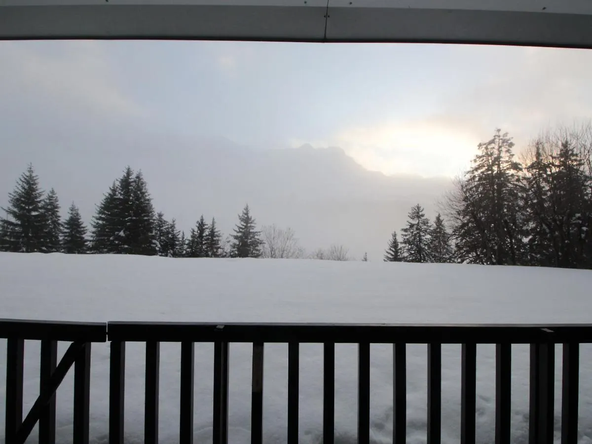 Studio Renove A Flaine Foret - 5 Pers, Proche Des Pistes Et Commerces, Balcon Sud, Casier A Skis - Fr-1-687-24 Araches-la-Frasse Apartment